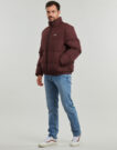 Doudoune Element Doudounes homme marron CLASSIC PUFFA - 3