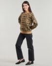Pullover Betty London TANIA Braune Damenpullover - 3