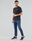 T-shirt Dickies MAPLETON Nero T-shirt maniche corte Uomo - 3