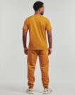 T-shirt Kappa ESTESSI 3 ORGANIC Marrone T-shirt maniche corte Uomo - 4