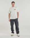 T-shirt Dickies LEWISTOWN SS TEE Bianco T-shirt maniche corte Uomo - 3