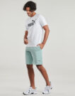 Pantaloni corti Puma ESS 2 COLOR LOGO SHORT Verde Pantaloni corti Uomo - 3