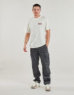 Pantalone Cargo  Dickies  MILLERVILLE  Grigio -  Pantalone Cargo Uomo - 2