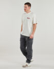 Pantalone Cargo  Dickies  MILLERVILLE  Grigio -  Pantalone Cargo Uomo - 3