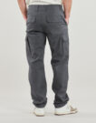 Pantalone Cargo  Dickies  MILLERVILLE  Grigio -  Pantalone Cargo Uomo - 4