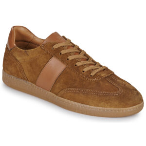Carlington  BASTIA  Marrone -  Sneakers Uomo