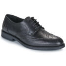 Carlington  LOUVIAN  Nero -  Derby Uomo - 1