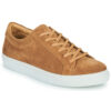 Carlington SERIAL Marrone Sneakers Uomo