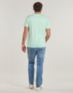 T-shirt Oxbow R1TALAI Verde T-shirt maniche corte Uomo - 4