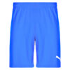 Puma TEAMRISE MATCHDAY Blue Shorts Men's Shorts