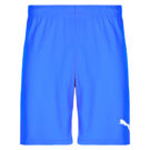 Pantalones cortos Puma TEAMFINE MATCHDAY Azul Pantalones cortos Hombre - 1