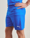 Pantaloni corti Puma TEAMRISE MATCHDAY Blu Pantaloni corti Uomo - 5