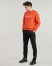 Sweatshirts Emporio Armani SWEAT-SHIRT EM001052 AraSweat-shirts pour hommes Ncie - 3