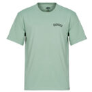 T-shirt Dickies DICKIES SNAKE SS TEE Verde T-shirt maniche corte Uomo - 1