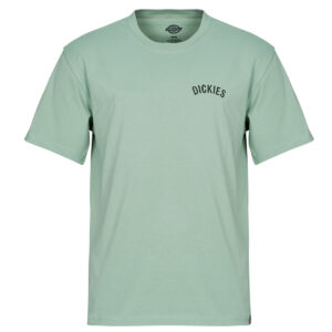 T-shirt  Dickies  DICKIES SNAKE SS TEE  Verde -  T-shirt maniche corte Uomo