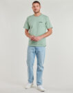 T-shirt Dickies DICKIES SNAKE SS TEE Verde T-shirt maniche corte Uomo - 3