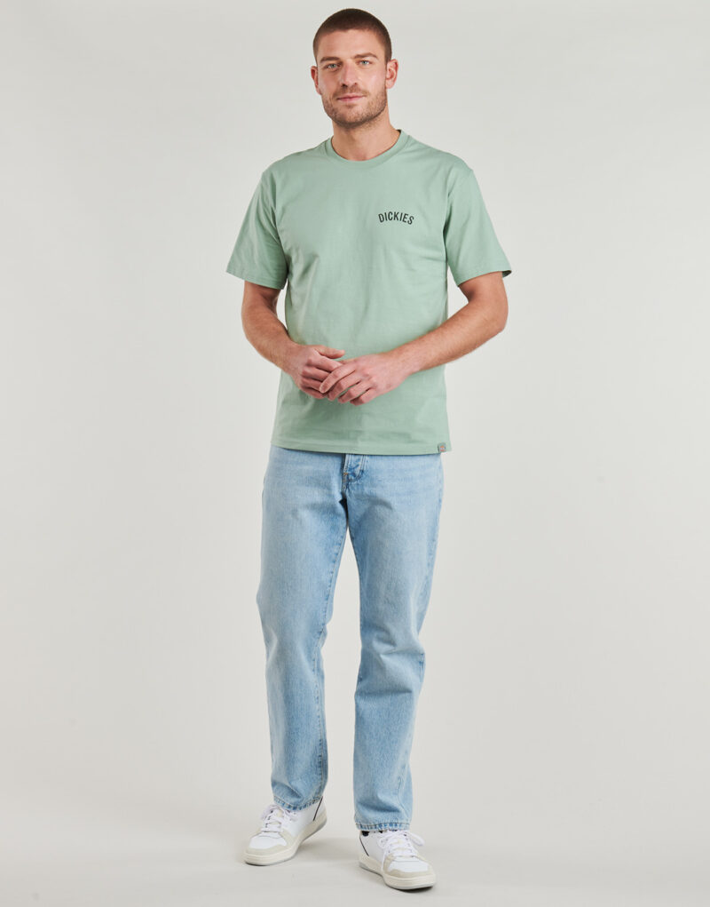T-shirt Dickies DICKIES SNAKE SS TEE Verde T-shirt maniche corte Uomo - 3