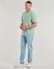 T-shirt Dickies DICKIES SNAKE SS TEE Verde T-shirt maniche corte Uomo - 4