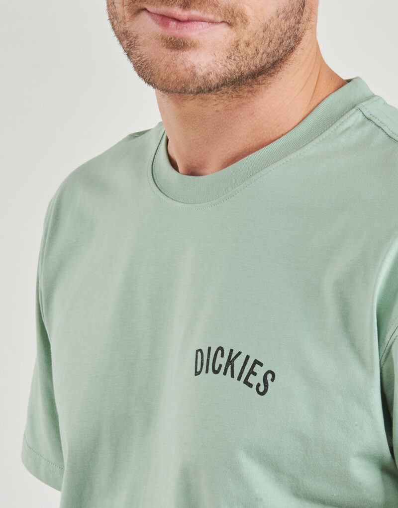 T-shirt Dickies DICKIES SNAKE SS TEE Verde T-shirt maniche corte Uomo - 5