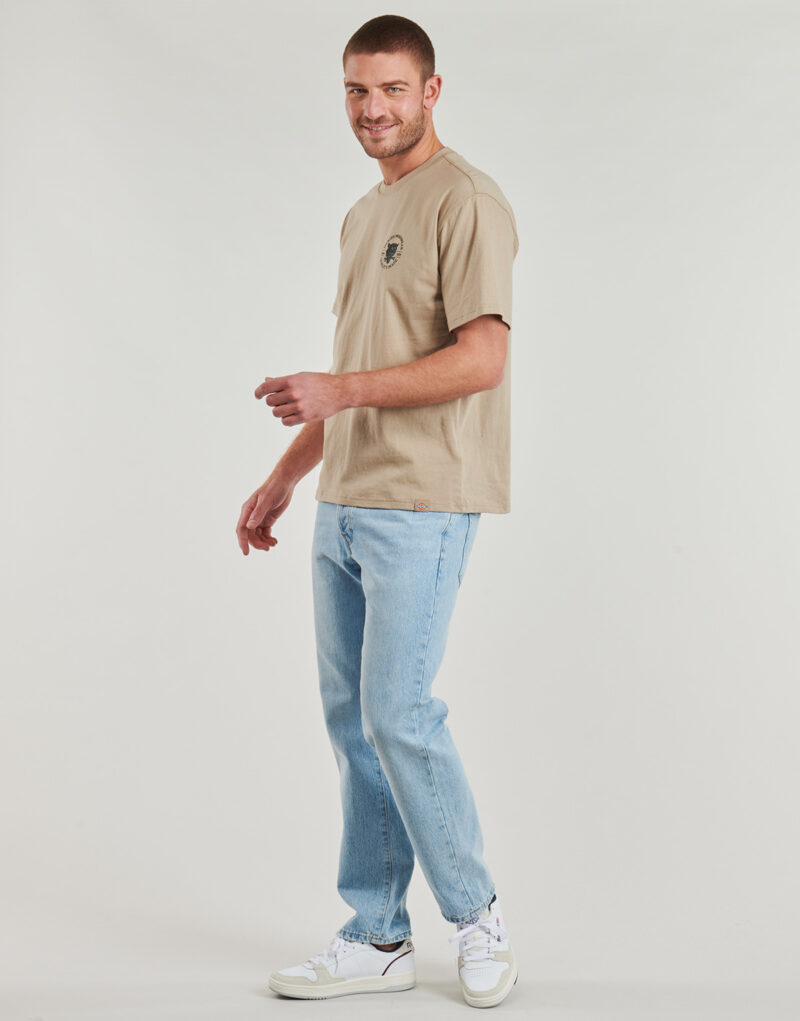 T-shirt Dickies WRENCH SS TEE Beige T-shirt maniche corte Uomo - 4