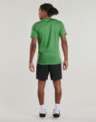 T-shirt Vans MN LEFT CHEST LOGO TEE Verde T-shirt maniche corte Uomo - 4