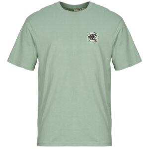 T-shirt  Only & Sons   ONSFLOWER  Verde -  T-shirt maniche corte Uomo