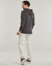 Sudaderas con capucha Billabong ARCH ZH LT Negro Sudaderas con capucha Hombre - 4