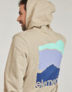 Felpe con cappuccio Element 3 HORIZONS PO Beige Felpe con cappuccio Uomo - 5