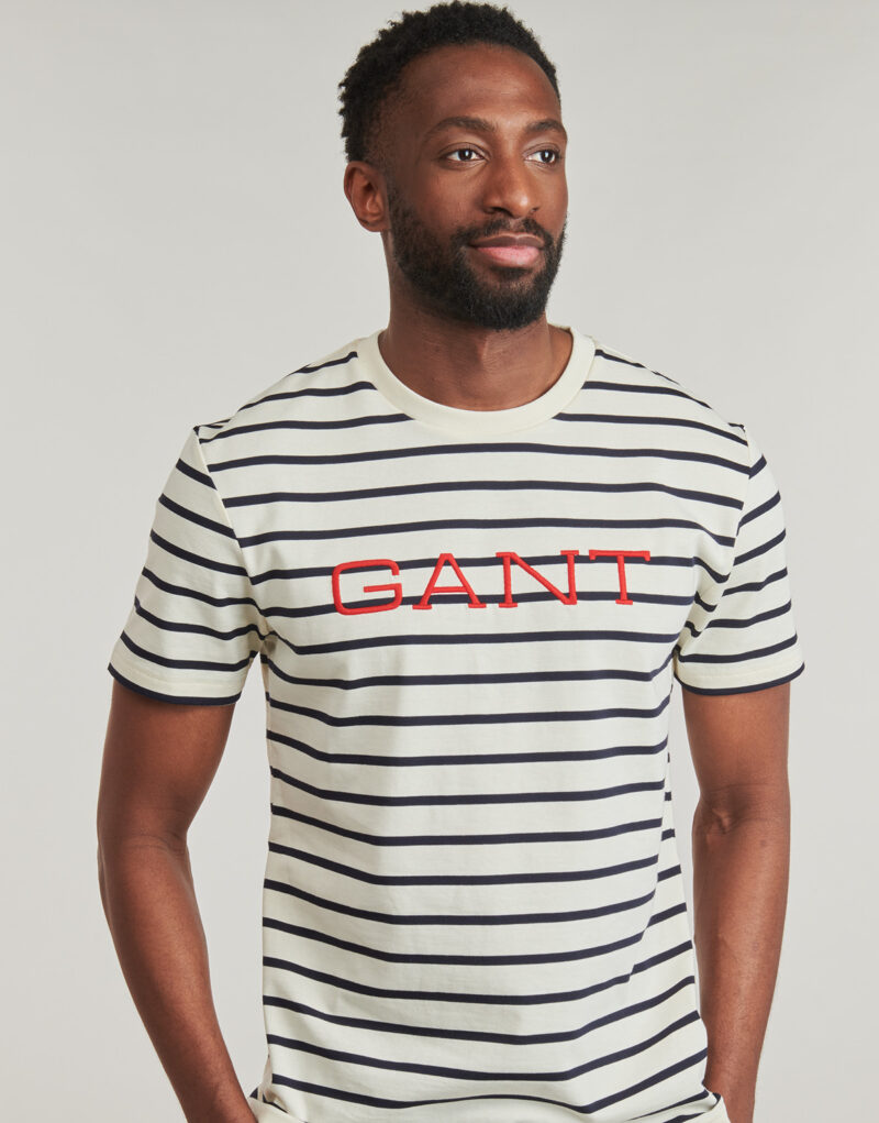 T-shirt Gant GRAPHIC STRIPED SS T-SHIRT Multicolore T-shirt maniche corte Uomo - 5