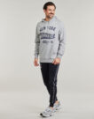 Felpe con cappuccio New Era MLB PENNANT GRAPHIC HOODIE NEW YORK YANKEES Grigio Felpe con cappuccio Uomo - 3