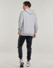 Felpe con cappuccio New Era MLB PENNANT GRAPHIC HOODIE NEW YORK YANKEES Grigio Felpe con cappuccio Uomo - 4