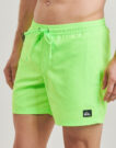 Costume / Bermuda da spiaggia  Quiksilver  EVERYDAY SOLID VOLLEY 15  Verde -  Costume / Bermuda da spiaggia Uomo - 3
