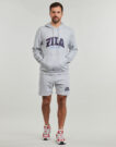 Pantaloni corti  Fila  LANDEN  Grigio -  Pantaloni corti Uomo - 2