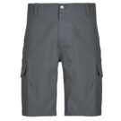 Pantaloni corti Dickies MILLERVILLE SHORT Grigio Pantaloni corti Uomo - 1