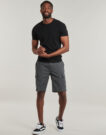 Pantaloni corti Dickies MILLERVILLE SHORT Grigio Pantaloni corti Uomo - 2