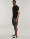 Pantaloni corti Dickies MILLERVILLE SHORT Grigio Pantaloni corti Uomo - 3
