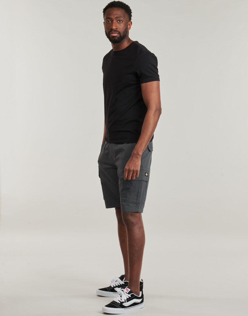 Pantaloni corti Dickies MILLERVILLE SHORT Grigio Pantaloni corti Uomo - 3