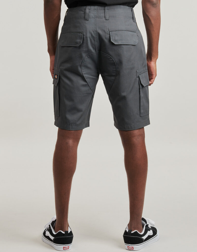 Pantaloni corti Dickies MILLERVILLE SHORT Grigio Pantaloni corti Uomo - 4