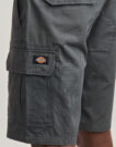 Pantaloni corti Dickies MILLERVILLE SHORT Grigio Pantaloni corti Uomo - 5