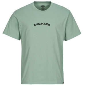 T-shirt  Dickies  DICKIES OUTDOOR SS TEE  Verde -  T-shirt maniche corte Uomo