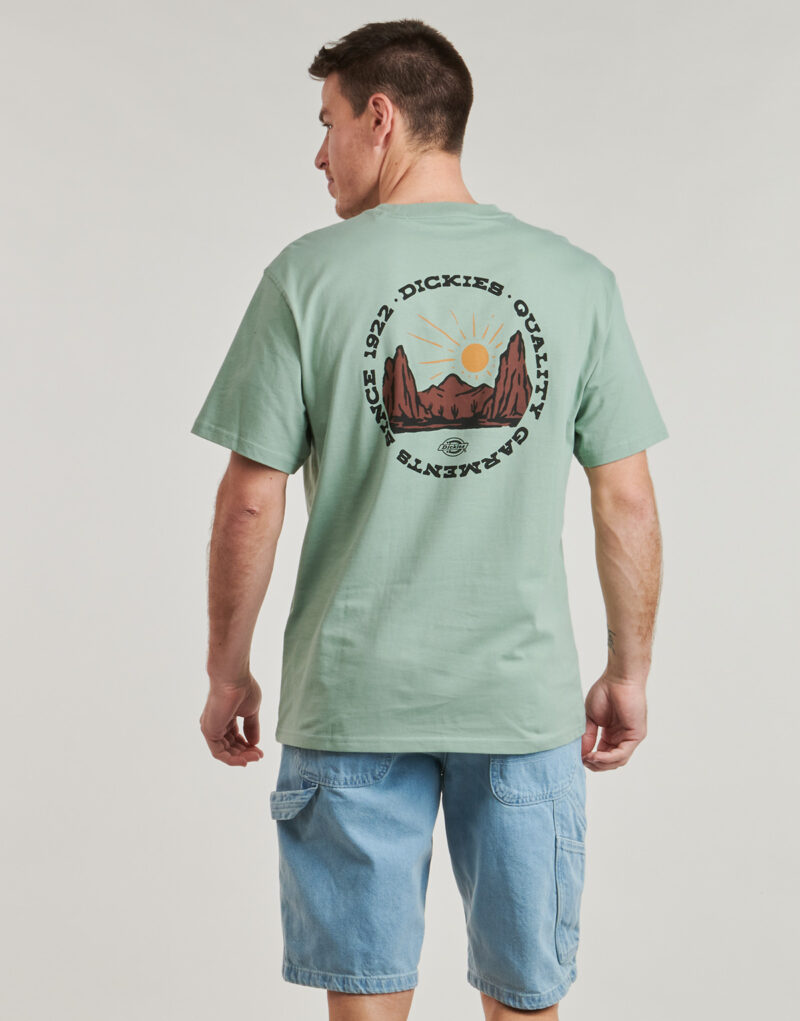 T-shirt Dickies DICKIES OUTDOOR SS TEE Verde T-shirt maniche corte Uomo - 2