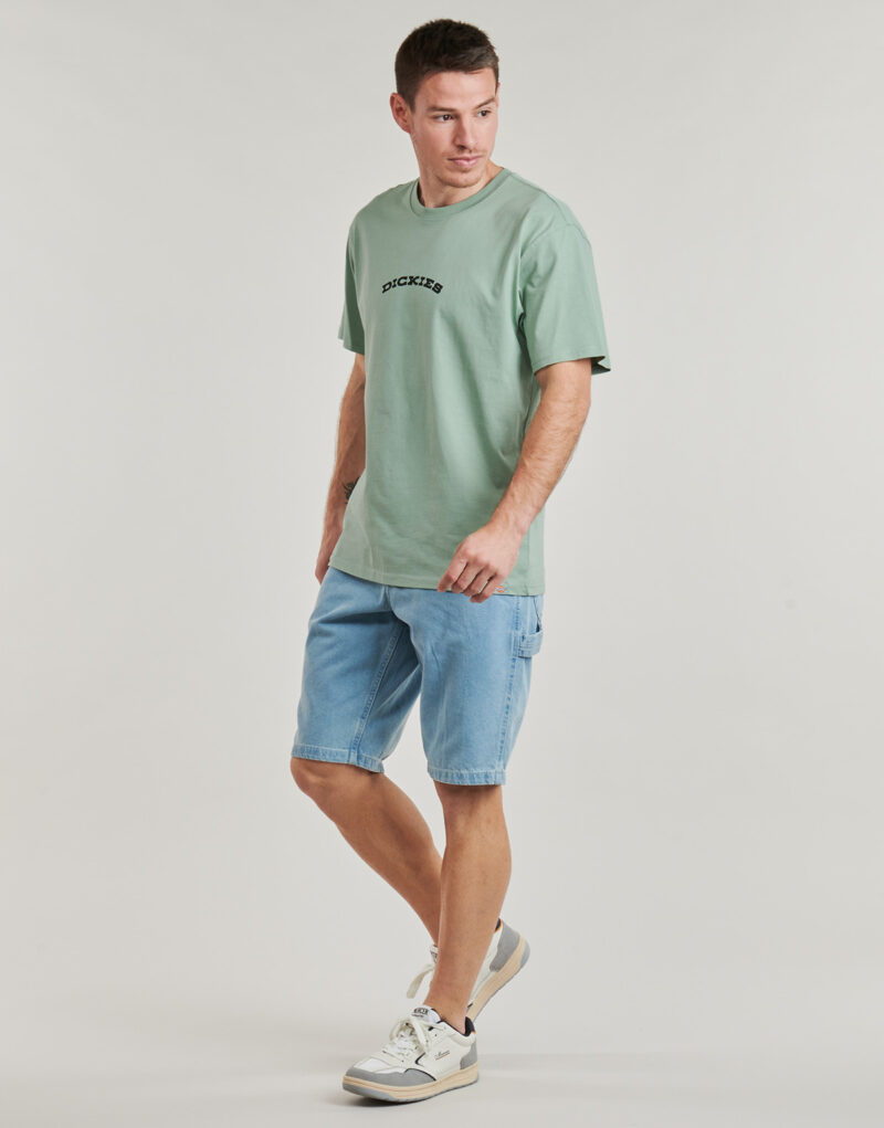 T-shirt Dickies DICKIES OUTDOOR SS TEE Verde T-shirt maniche corte Uomo - 3