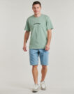 T-shirt Dickies DICKIES OUTDOOR SS TEE Verde T-shirt maniche corte Uomo - 4