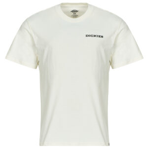 T-shirt  Dickies  LANDASCAPE SS TEE  Bianco -  T-shirt maniche corte Uomo