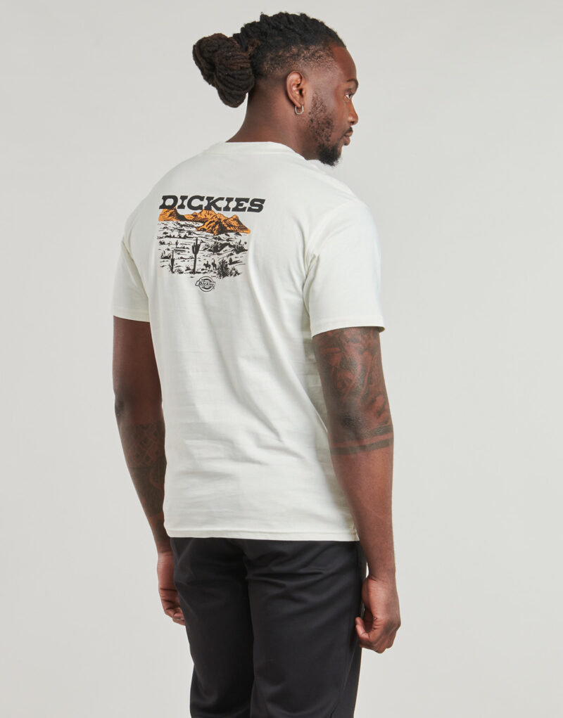 T-shirt Dickies LANDASCAPE SS TEE Bianco T-shirt maniche corte Uomo - 2