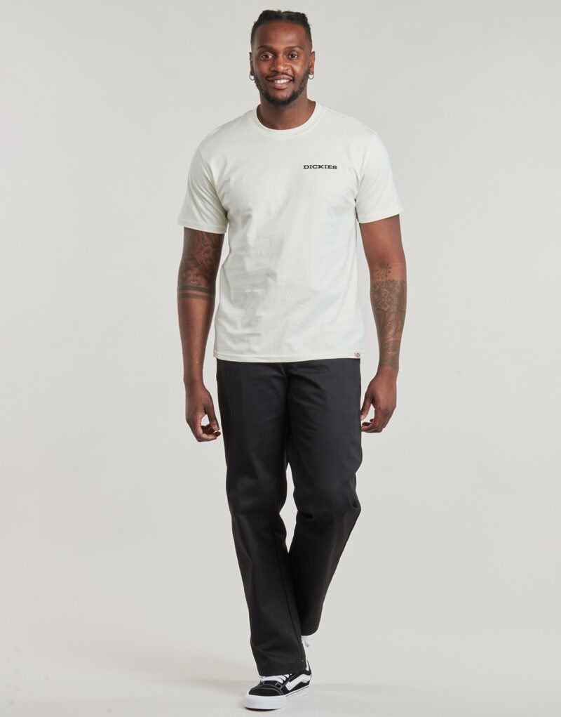 T-shirt Dickies LANDASCAPE SS TEE Bianco T-shirt maniche corte Uomo - 3