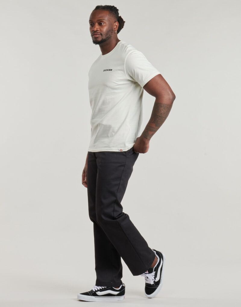 T-shirt Dickies LANDASCAPE SS TEE Bianco T-shirt maniche corte Uomo - 4