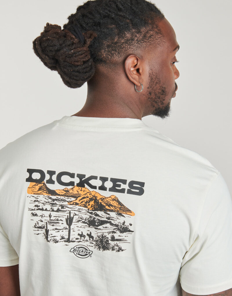 T-shirt Dickies LANDASCAPE SS TEE Bianco T-shirt maniche corte Uomo - 5