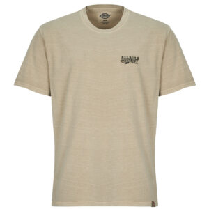 T-shirt  Dickies  SERVICE STATION SS TEE  Beige -  T-shirt maniche corte Uomo