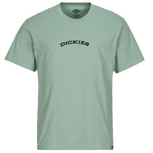 T-shirt Uomo Dickies DICKIES OUTDOOR SS TEE Verde, maniche corte, stile casual, perfetta per ogni occasione, realizzata in materiale di alta qualità, ideale per la stagione estiva. Acquista ora la T-shirt Dickies per un look trendy e confortevole.